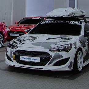 자동차튜닝 활성화, 문제점과 대안